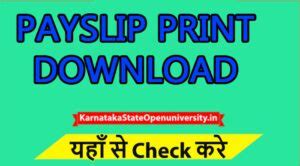 mera vetan salary slip pdf
